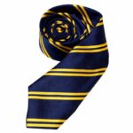 Navy Gold Tie